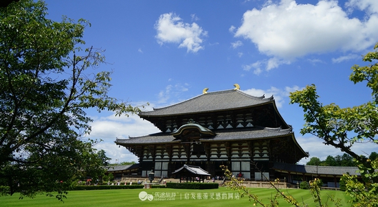 远观东大寺　　摄影/尔冬