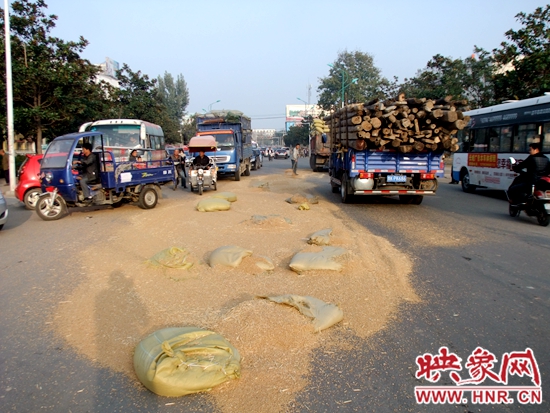 洒在路上的小麦