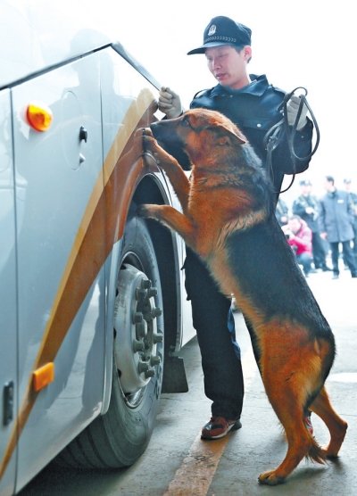 警犬巡查车上的可疑物品