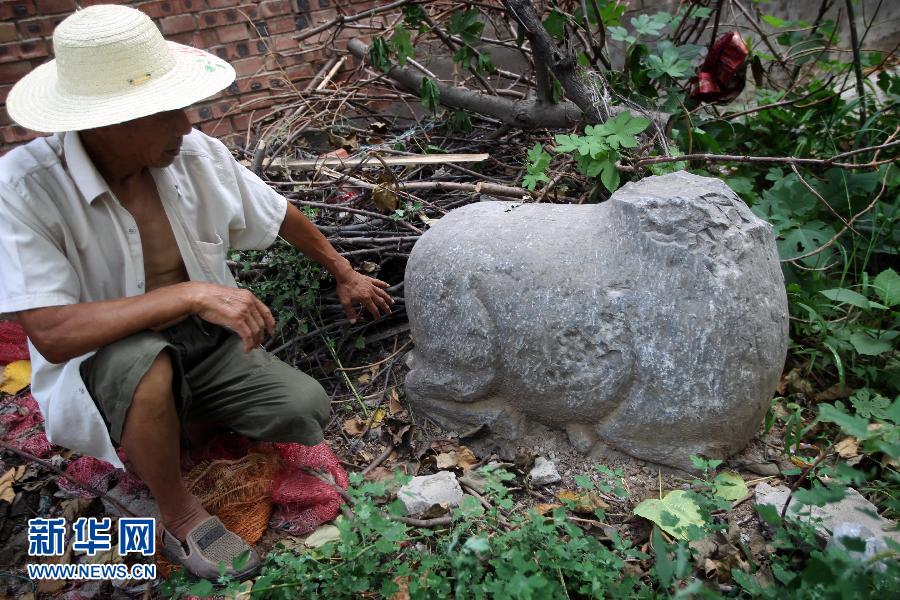 朝阳镇后李村业余文保队员，今年65岁的李连堂在上世纪平整土地时候，从地里挖出一个石羊残身，至今仍放在