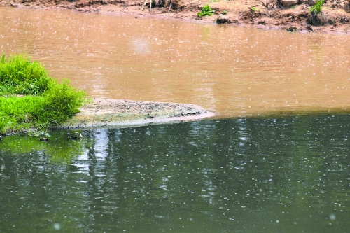 黄河水和贾鲁河水泾渭分明