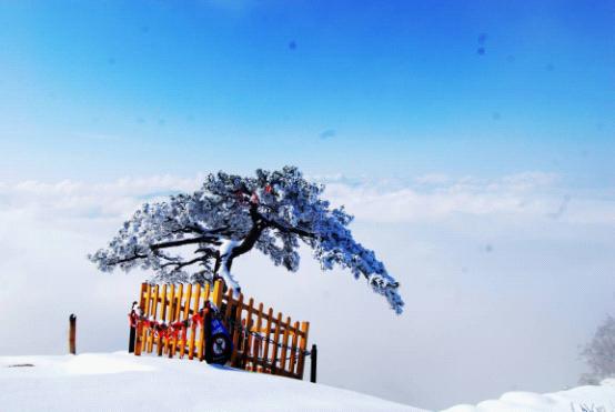 冬意华山 赏雪大推荐