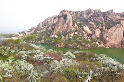 正好清明连谷雨春满嵖岈花满山