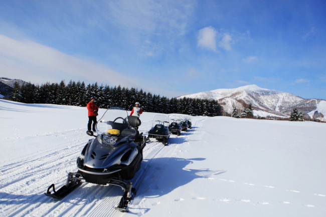 北海道的粉雪诱惑