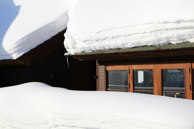 北海道的粉雪诱惑