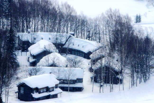 北海道的粉雪诱惑