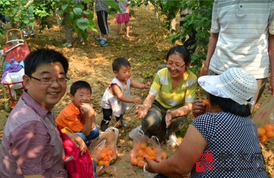 新乡龙泉苑杏采摘区6月1日开摘 小朋友进园有赠送