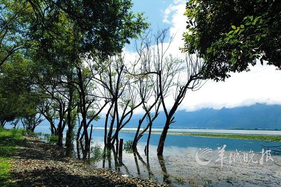 大理双廊小村：避世绝尘的慢生活