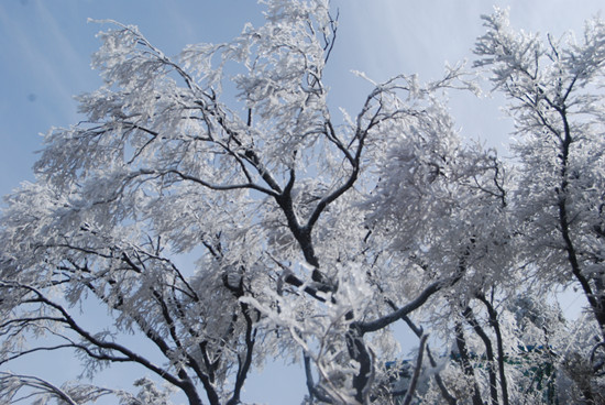 尧山景区 拍摄日期：4月20日