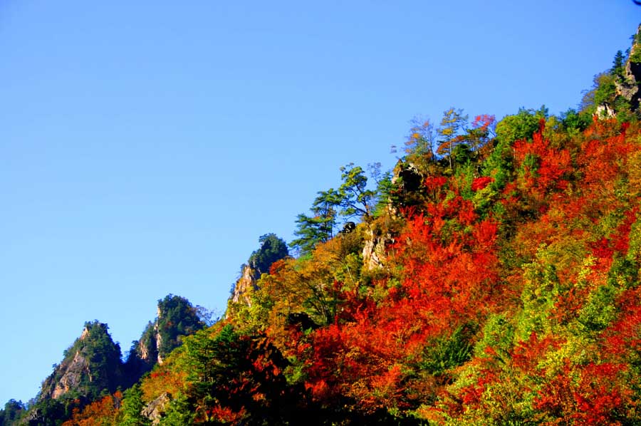 寻找省内最早一抹红色 中原旅游年卡系列活动启动