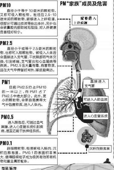 PM2.5危害示意图