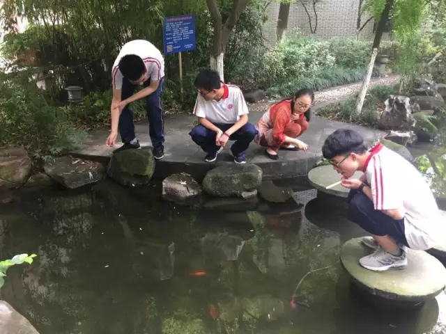 学生在校园钓龙虾:香肠鸡架当虾饵 半小时钓50只