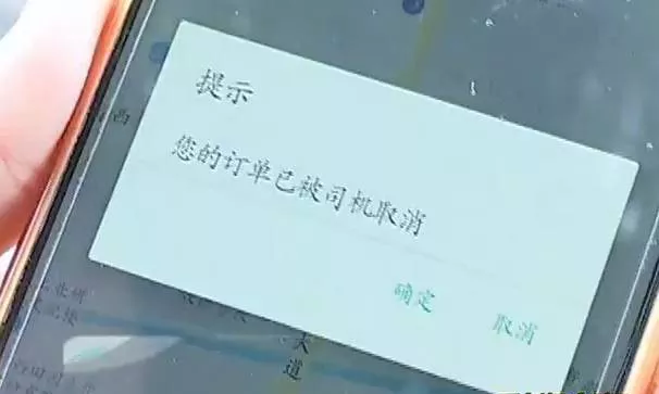 出门打驴?南宁滴滴打驴被紧急叫停 涉嫌非法营运