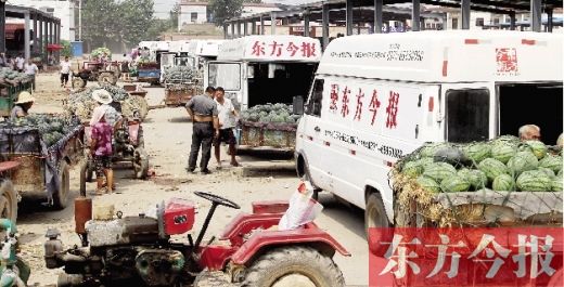 昨日，东方今报与河南福寿园联合购瓜，只有更多的市民和企业加入购瓜行动，瓜农们才能早日回家