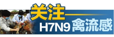 关注H7N9禽流感