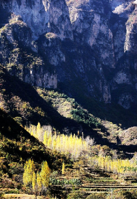 十月到万仙山赏太行秋景 60岁以上老人免票