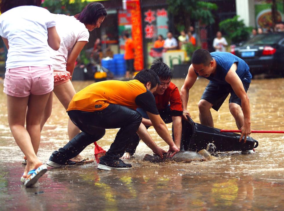 东莞降暴雨街道一片汪洋