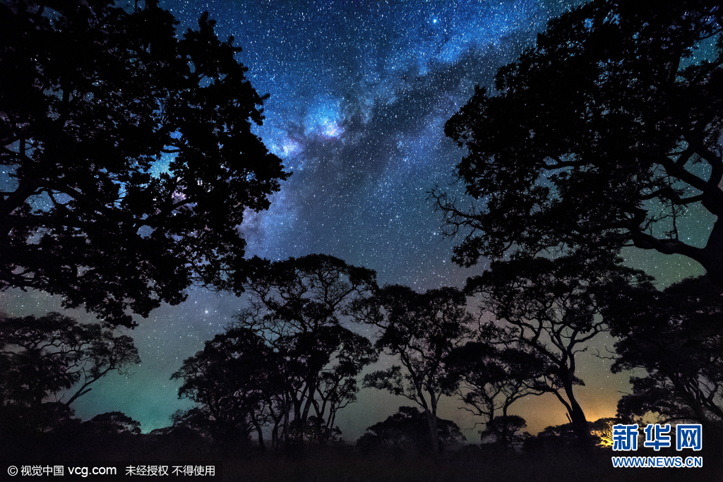 摄影师夜探非洲大草原 拍到长颈鹿浴星而行