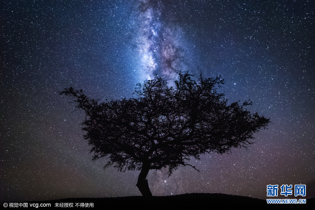 摄影师夜探非洲大草原 拍到长颈鹿浴星而行