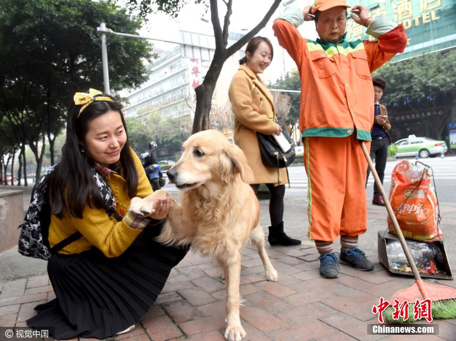 金毛犬跟主人“扫”大街“捡”瓶子