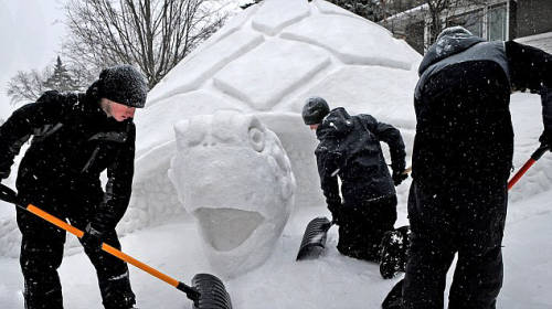 美三兄弟花300小时建巨龟雪人