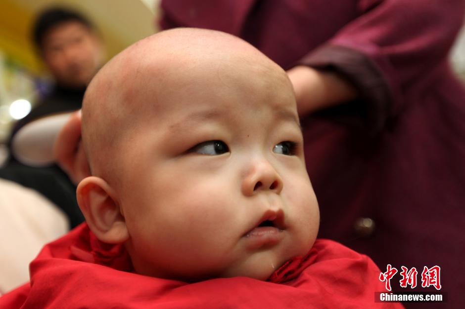 二月二龙抬头 娃娃“剃龙头”萌态百出