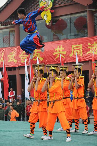 精彩的武术表演