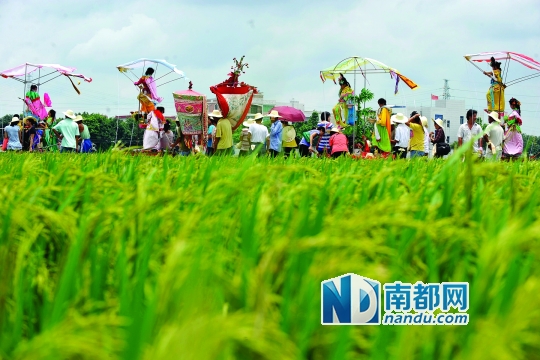 崖口村每年都在村里举行飘色巡游活动。