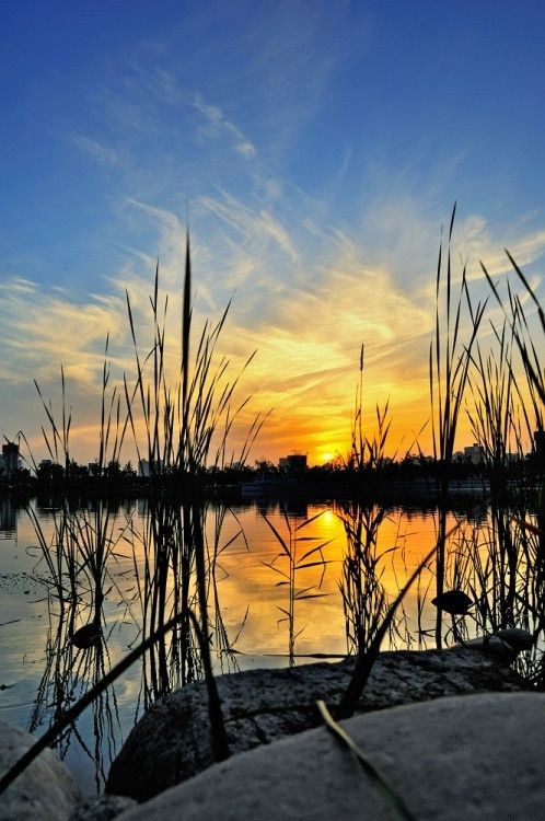 夕阳无限好 西安不可错过的夕照胜景地