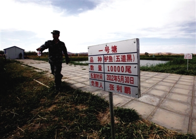 航天员食品特供基地：奶牛须隔离休养一月