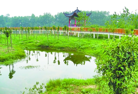 湿地公园定期向中小学生免费开放