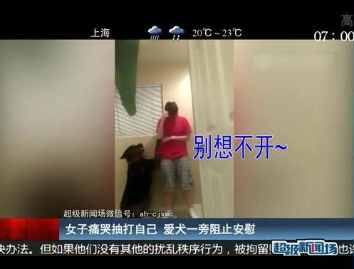 女子痛哭抽打自己 爱犬一旁阻止安慰