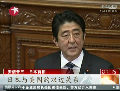 安倍发表首次施政演说 未提及钓鱼岛问题