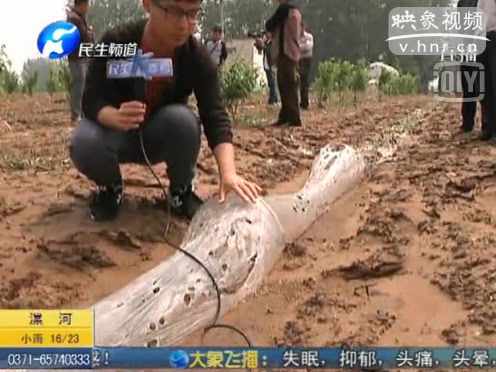 冰雹突如其来 河南多地受灾